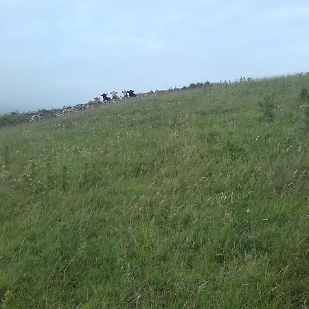 7 An Clachan,kilcrohane Village, Cork *